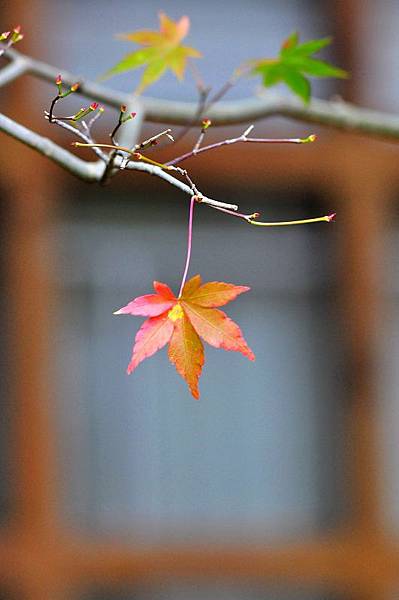 DSC_1722_nEO_IMG DSC_1722_nEO_IMG