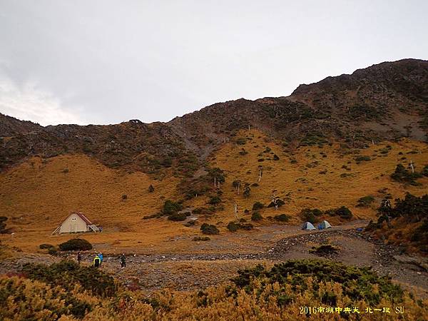 夕照南湖金黃谷地