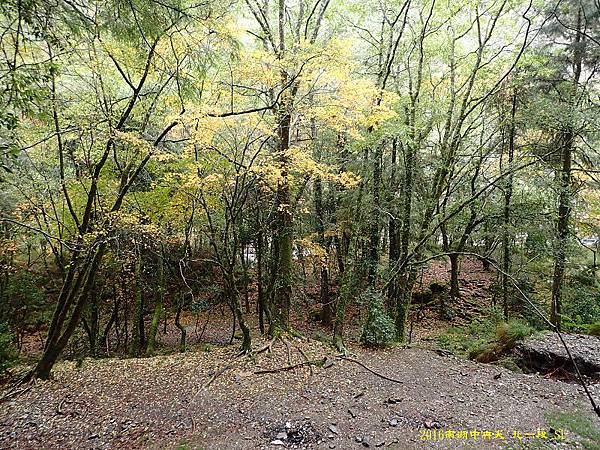 南湖溪山屋秋意