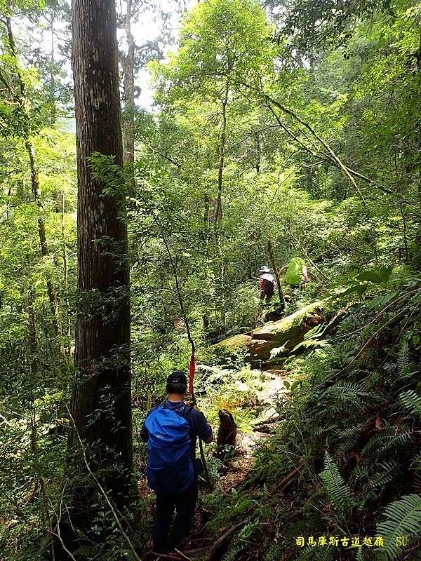 司馬庫斯古道越嶺出100線林道 小牛的部落格 痞客邦