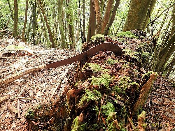 高嶺古道~馬達拉駐在所、本田駐在所