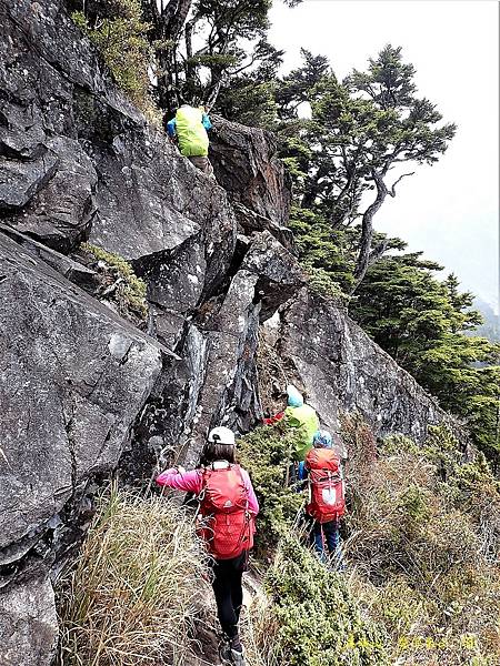 溪頭山魔保來山