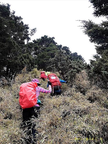 溪頭山魔保來山