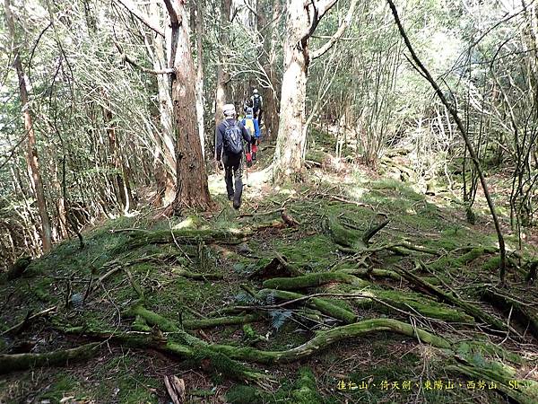 東邪西毒~東陽山、西勢山