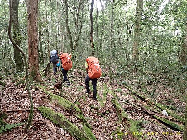 東邪西毒~東陽山、西勢山