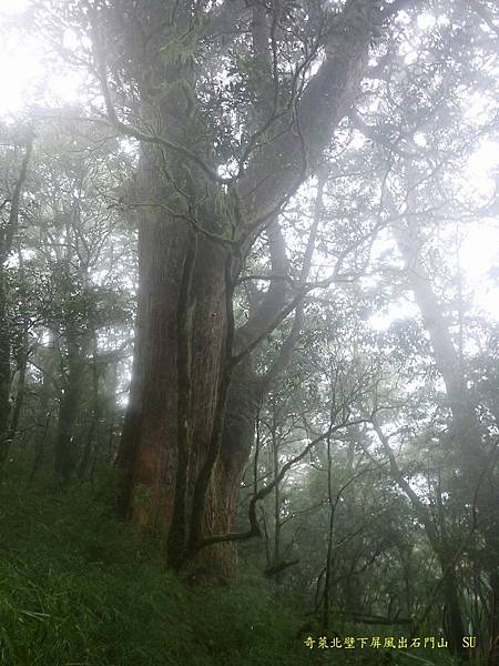 奇萊北壁下屏風出石門山