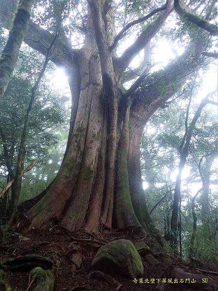 奇萊北壁下屏風出石門山