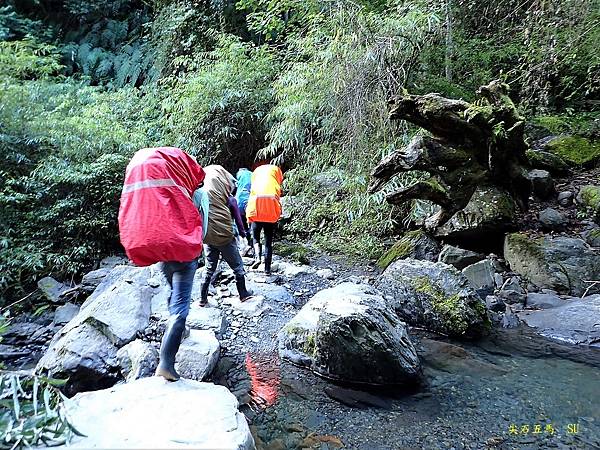 尖石五馬~馬望海山、馬洋山、南馬洋山