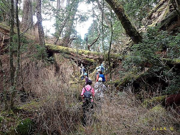 尖石五馬~馬望海山、馬洋山、南馬洋山