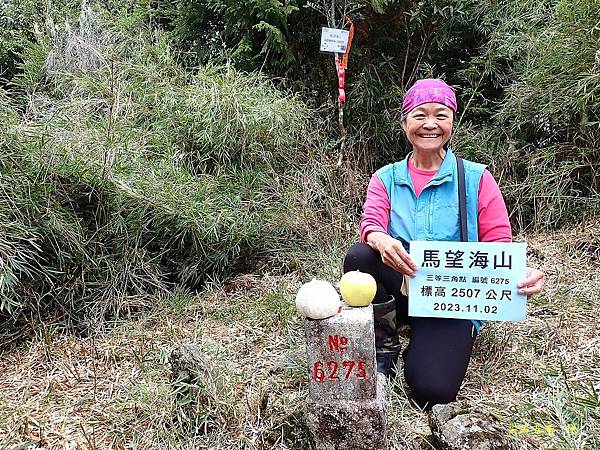 尖石五馬~馬望海山、馬洋山、南馬洋山