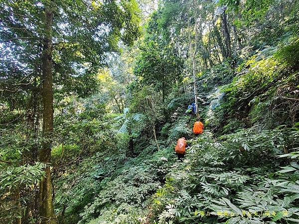 多陽山、棚機山、普亞女山縱走