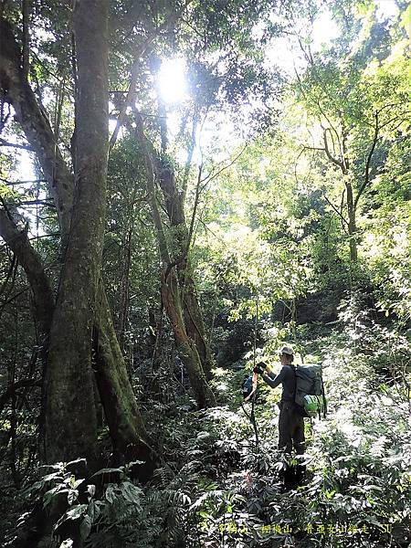 多陽山、棚機山、普亞女山縱走