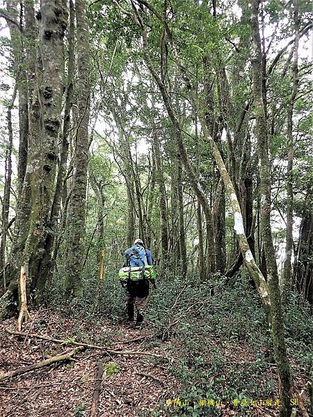 多陽山、棚機山、普亞女山縱走