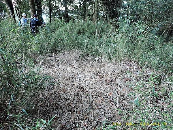 多陽山、棚機山、普亞女山縱走