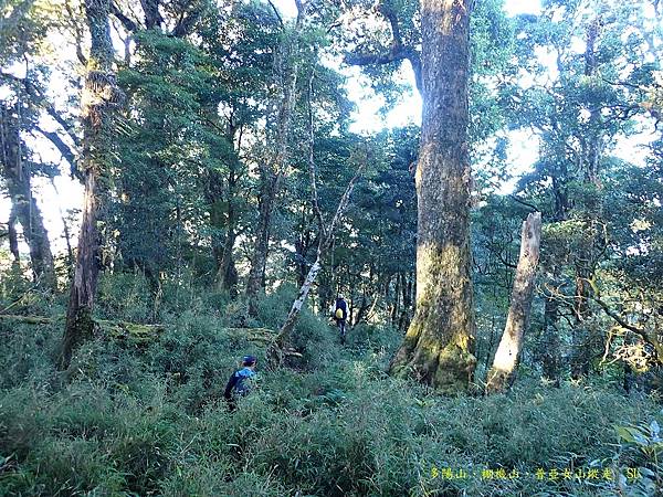 多陽山、棚機山、普亞女山縱走