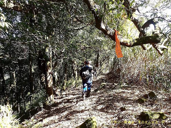 多陽山、棚機山、普亞女山縱走