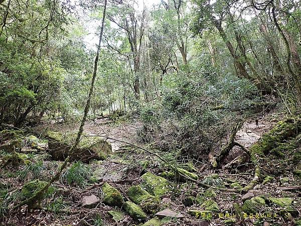 多陽山、棚機山、普亞女山縱走