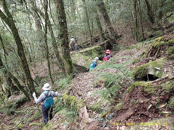 多陽山、棚機山、普亞女山縱走