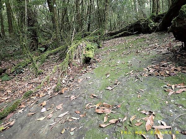 多陽山、棚機山、普亞女山縱走