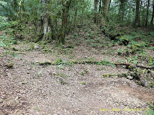 多陽山、棚機山、普亞女山縱走