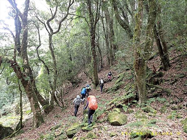 多陽山、棚機山、普亞女山縱走