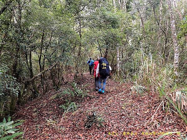 養老山、基那吉山、布奴加里山O形縱走