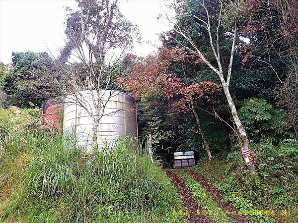 養老山、基那吉山、布奴加里山O形縱走