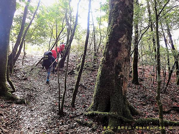 養老山、基那吉山、布奴加里山O形縱走