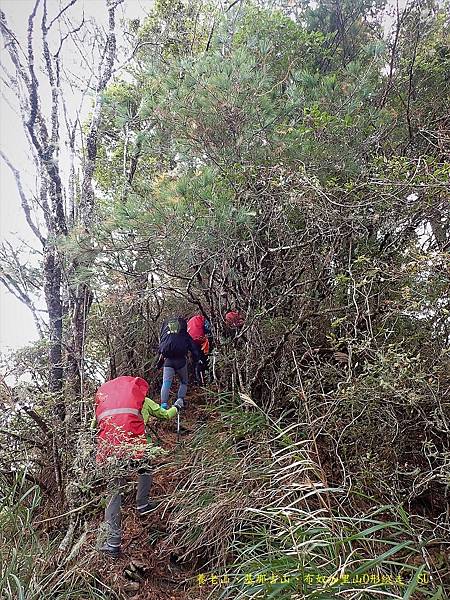 養老山、基那吉山、布奴加里山O形縱走