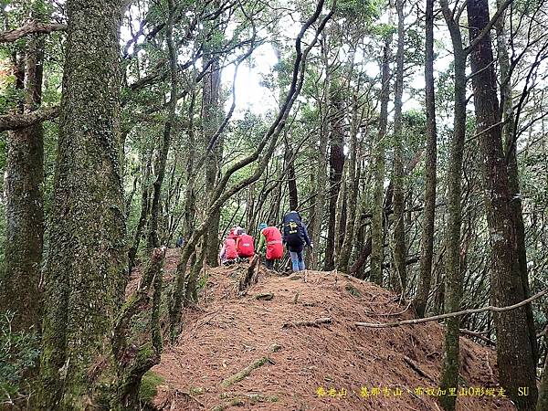 養老山、基那吉山、布奴加里山O形縱走