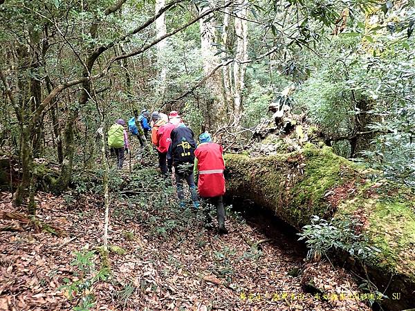 養老山、基那吉山、布奴加里山O形縱走