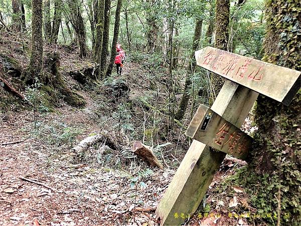 養老山、基那吉山、布奴加里山O形縱走