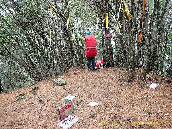 養老山、基那吉山、布奴加里山O形縱走