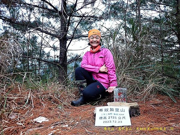 養老山、基那吉山、布奴加里山O形縱走