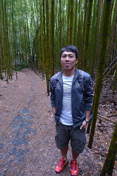 P1540775 [800x600].JPG