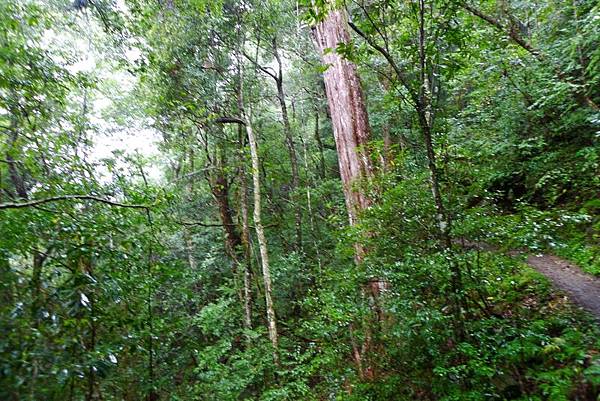 P1540802 [800x600].JPG