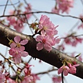 IMG_5024 [800x600]