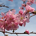 IMG_5045 [800x600]