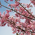 IMG_5052 [800x600]