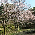 IMG_5084 [800x600]