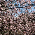 IMG_5095 [800x600]