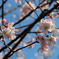 IMG_5097 [800x600]