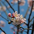 IMG_5098 [800x600]