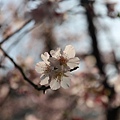 IMG_5103 [800x600]