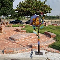 nEO_IMG_DSC04748.jpg
