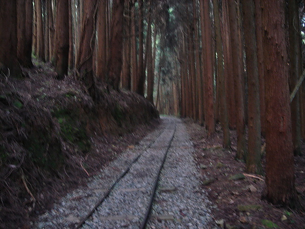 特富野古道上最美的一段路