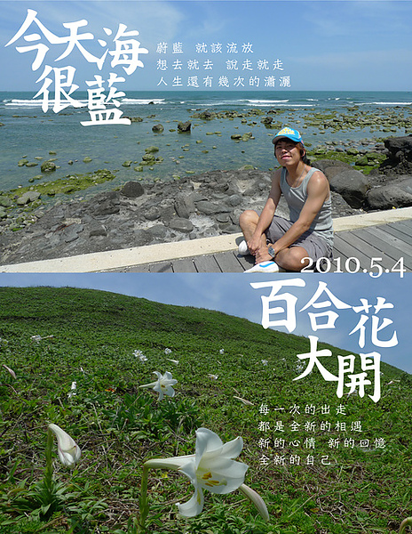 網誌封面-今天海很藍百合花大開