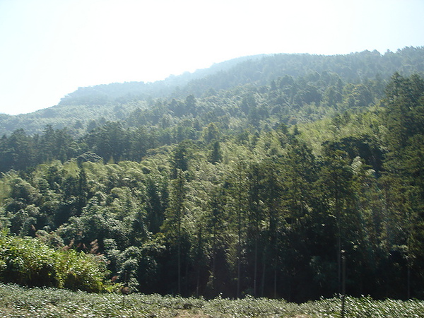 路上風景