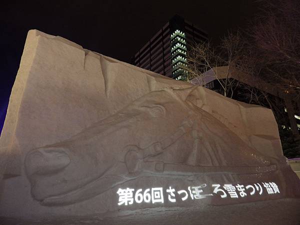 20150207札幌冰雪祭夜觀至六丁目 (8)