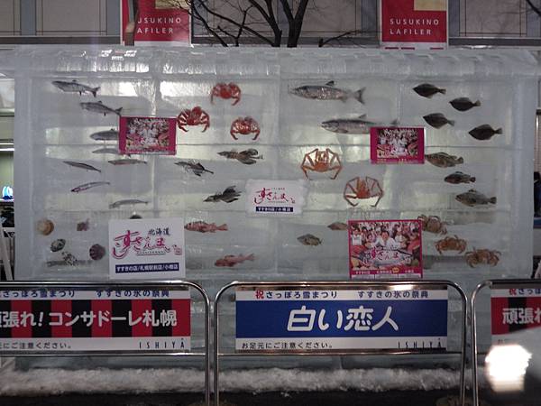 20150207札幌冰雪祭夜觀至六丁目 (89)